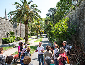 Agrandir l'image (fenêtre modale)