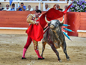 Agrandir l'image (fenêtre modale)