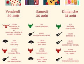 Agrandir l'image (fenêtre modale)