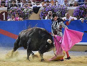 Agrandir l'image (fenêtre modale)