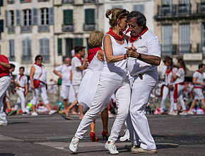 Agrandir l'image (fenêtre modale)