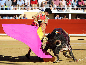 Agrandir l'image (fenêtre modale)